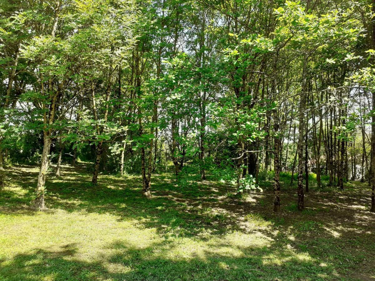 La Villa Le Petit Bois, Pres Rocamadour, Padirac Lavergne  Екстер'єр фото